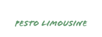 Premier Limo Services